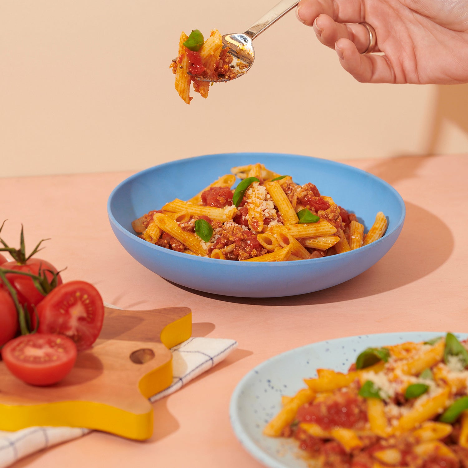 Turkey Bolognese Drawing